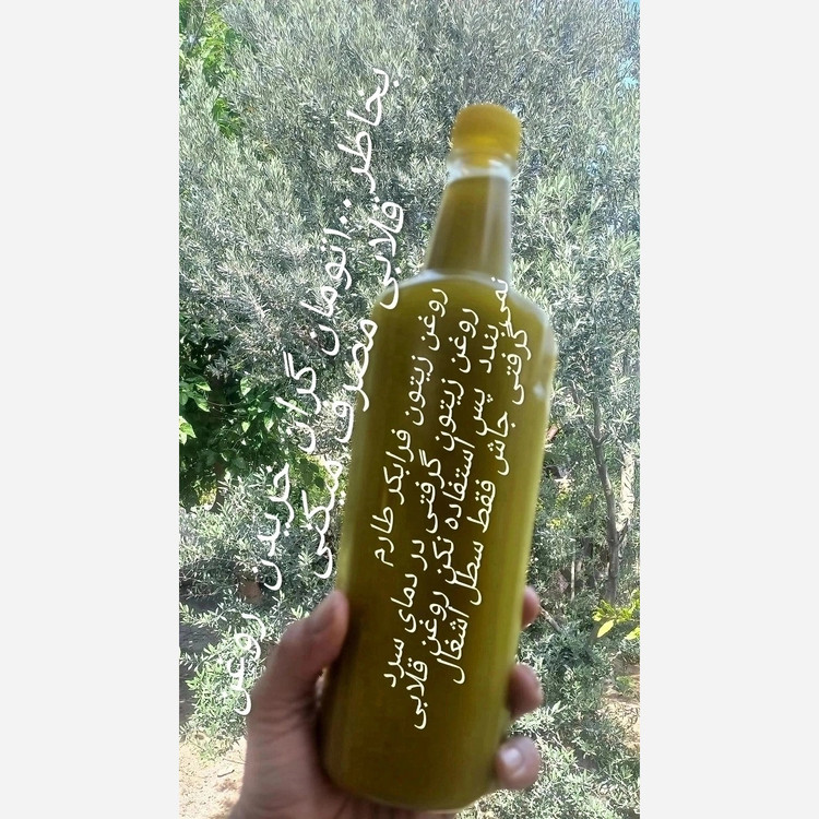 روغن زیتون نوبرانه امساله دستی محشر محلی 1لیتری هیچ ارزانی بی دلیل نیست خودتون قول نزنید که روغن زیتون خرید کردید