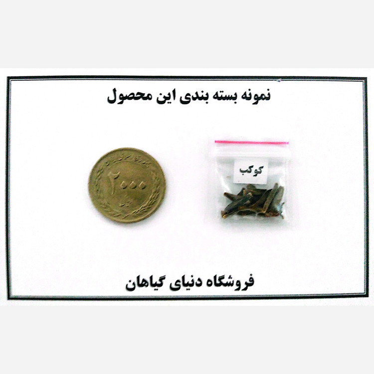 بذر گل کوکب (بسته 10 عددی)