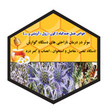 عسل چندگیاه پاییزه2کیلویی ممتازفریدن(ارسال رایگان به شهرستان فریدن)