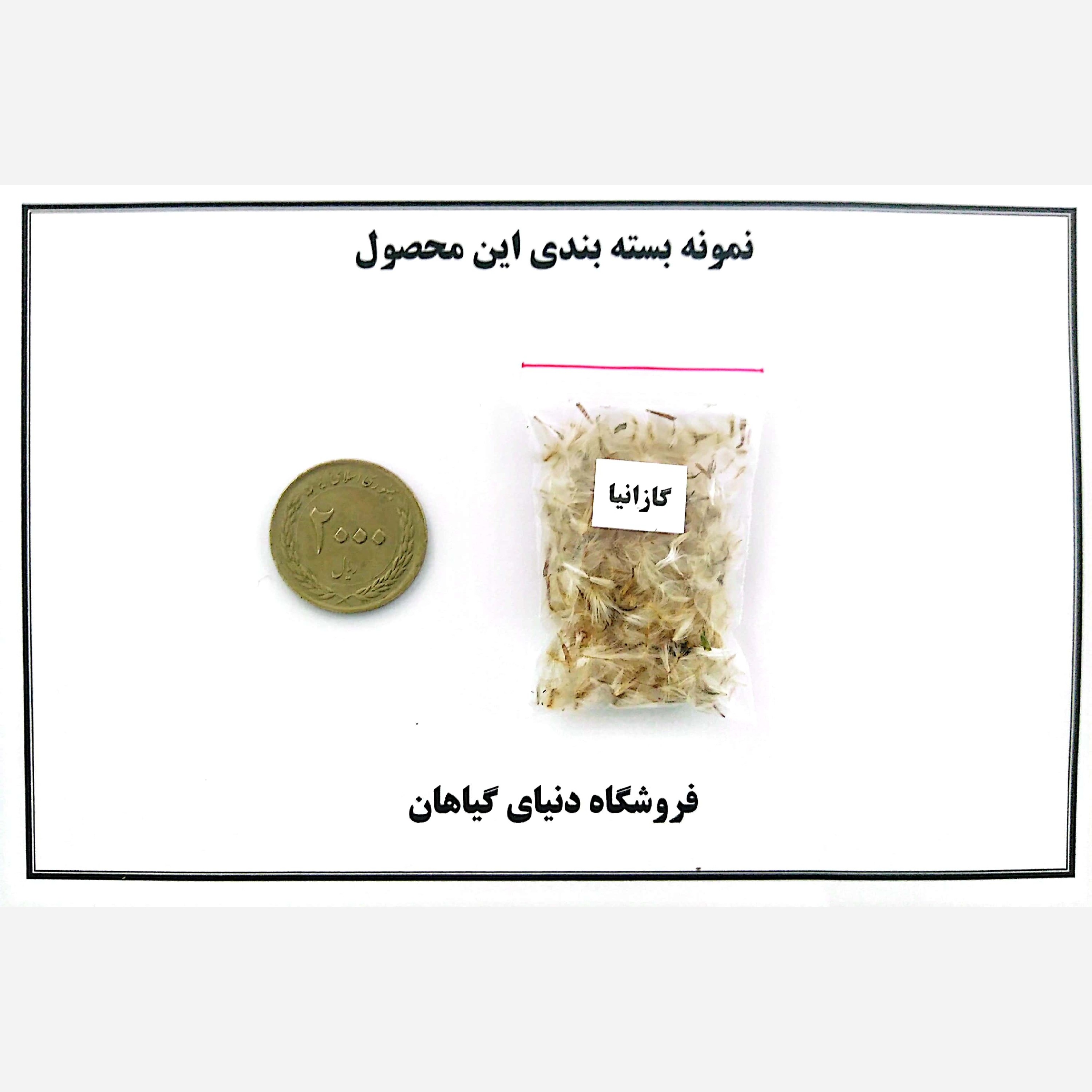 بذر گل گازانیا (20 عدد)