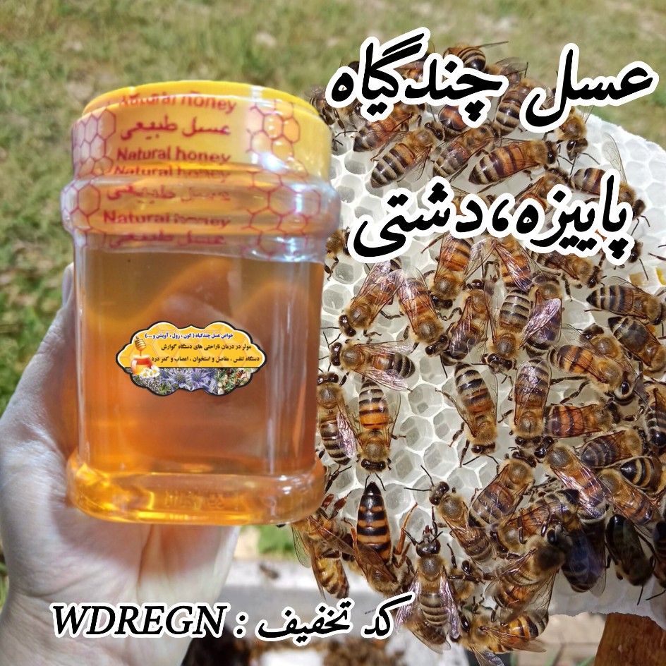 عسل چندگیاه پاییزه فریدن 1 کیلویی درجه یک.دشتی (خرید مستقیم از زنبوردار)ارسال رایگان با 2 میلیون خرید از غرفه