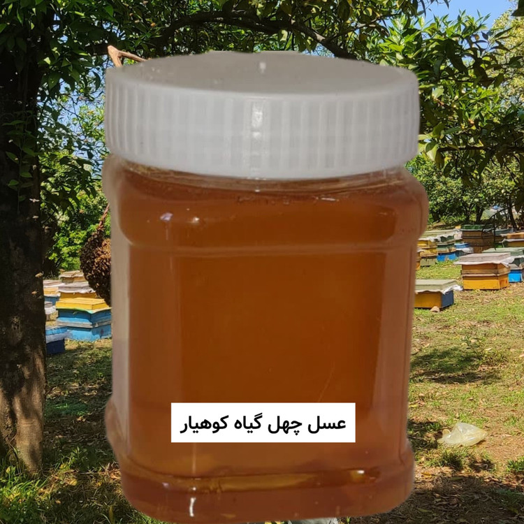 عسل طبیعی چهل گیاه طبیعی (نیم کیلو ) خرید مستقیم از زنبوردار