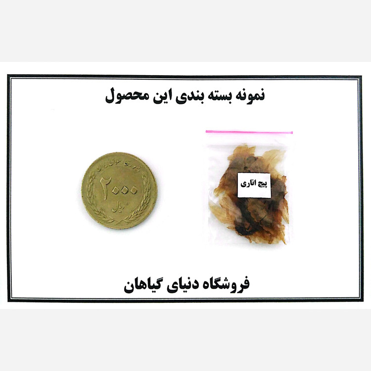 بذر پیچ اناری (10 عدد)