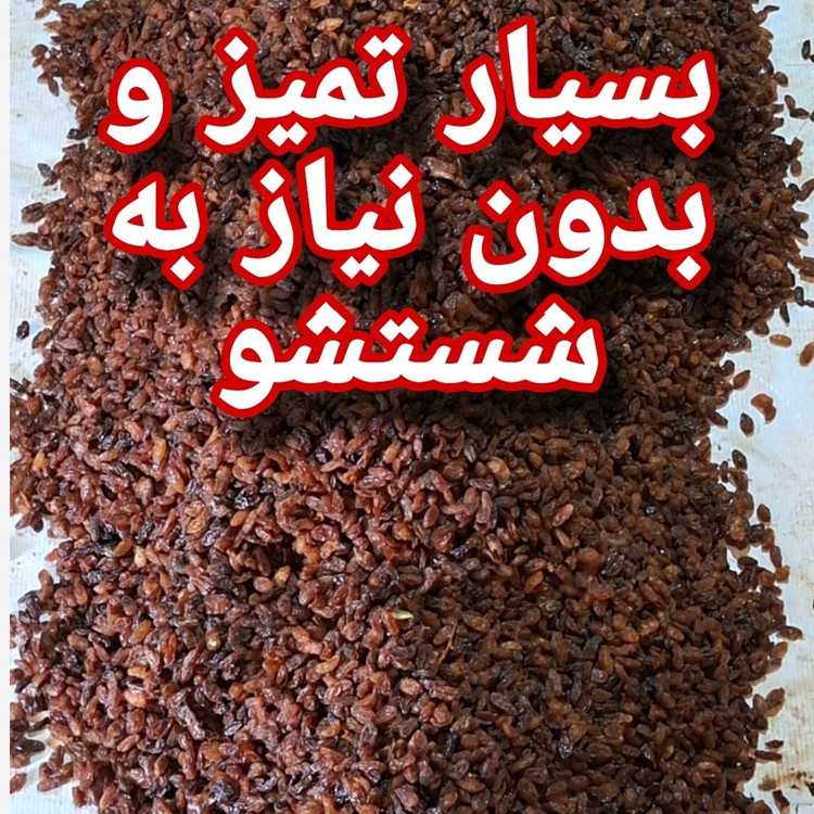 کشمش آفتابی آبگیری کاشمر درجه 1 (برداشت 1405)