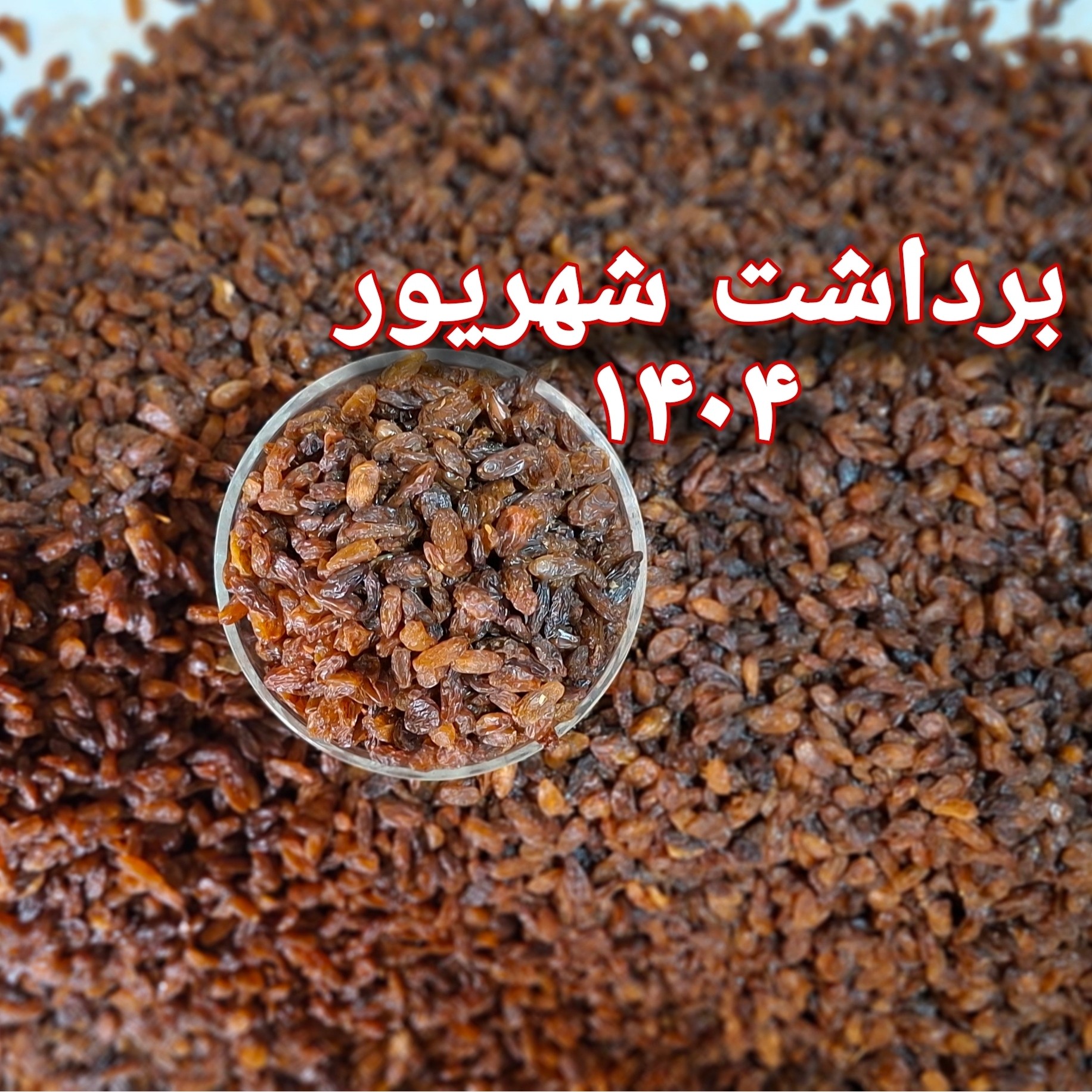 کشمش آفتابی آبگیری کاشمر درجه 1 (برداشت 1405)