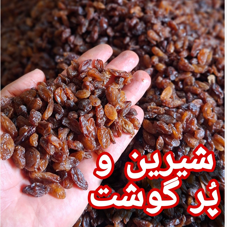 کشمش آفتابی آبگیری کاشمر درجه 1 (برداشت 1405)