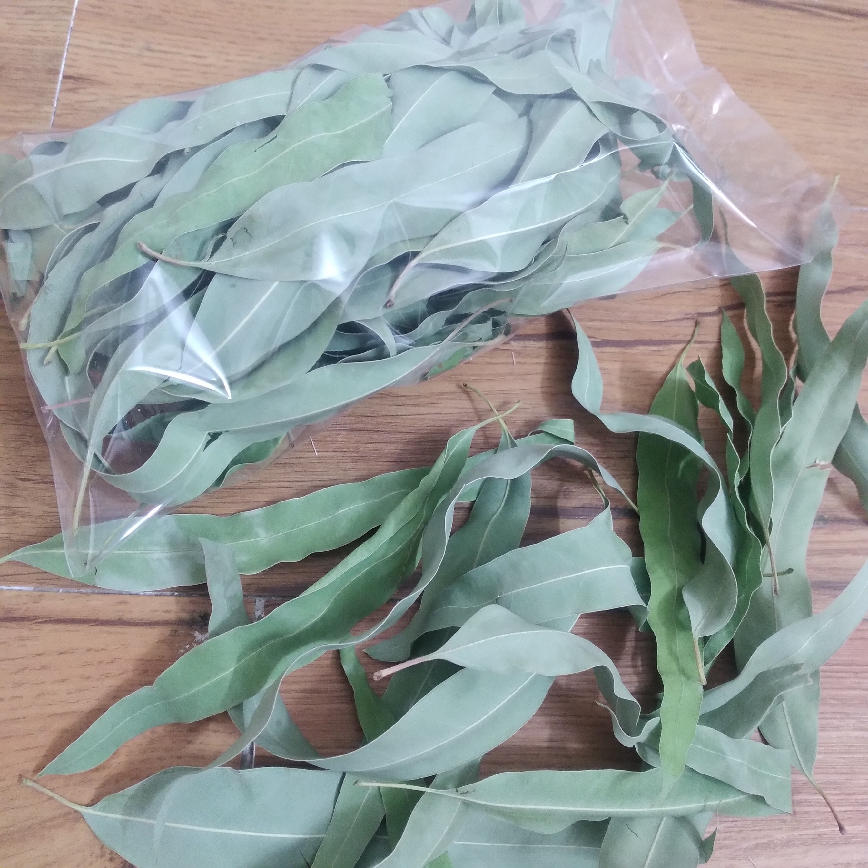 برگ اکالیپتوس برای پرندگان زینتی ( بسته 15 گرمی)