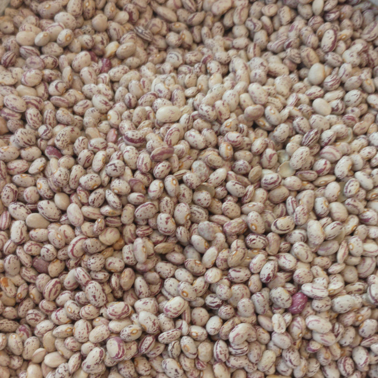 لوبیا چیتی خمین دستچین شده وبا کیفیت. دربسته 900گرمی
