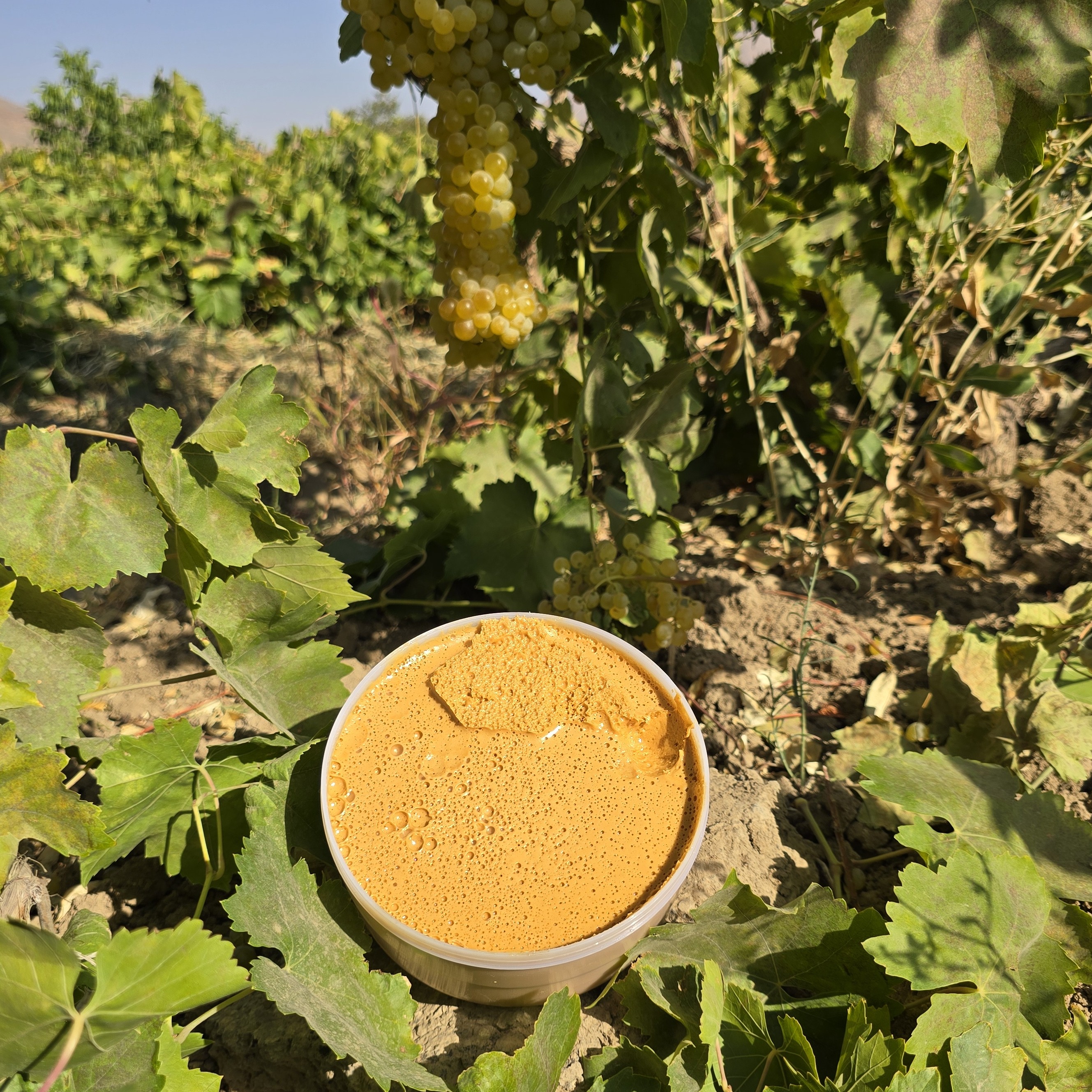 شیره انگور سفید محلی ملایر یک کیلویی