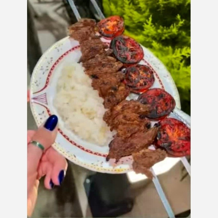 گوشت گیاهی زیتکس پروتوئین گیاهی رستبیف