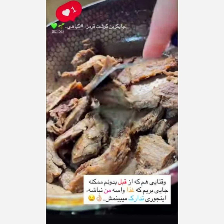 گوشت گیاهی زیتکس پروتوئین گیاهی رستبیف