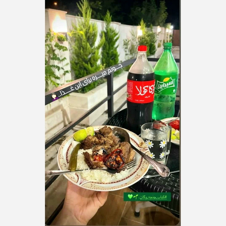 گوشت گیاهی زیتکس پروتوئین گیاهی رستبیف