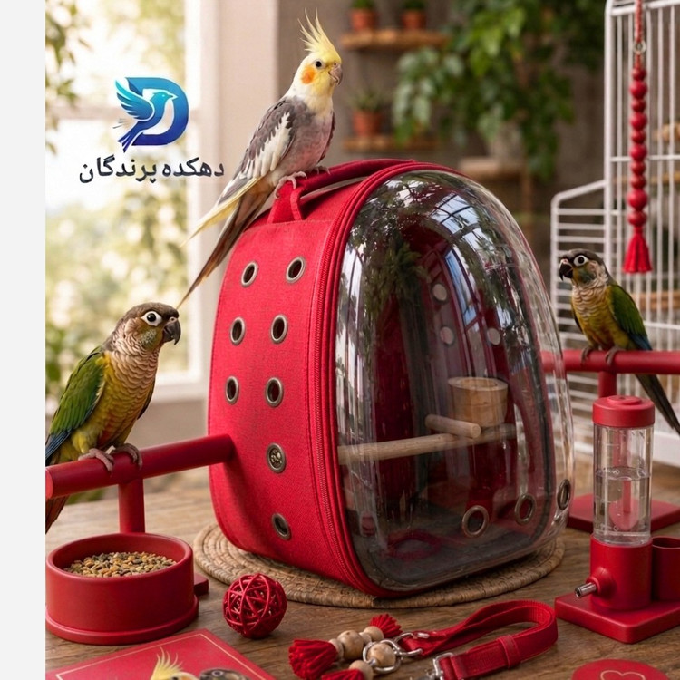 کوله حمل عروس هلندی و پرنده-کیف حمل پرندگان-سایز بزرگ