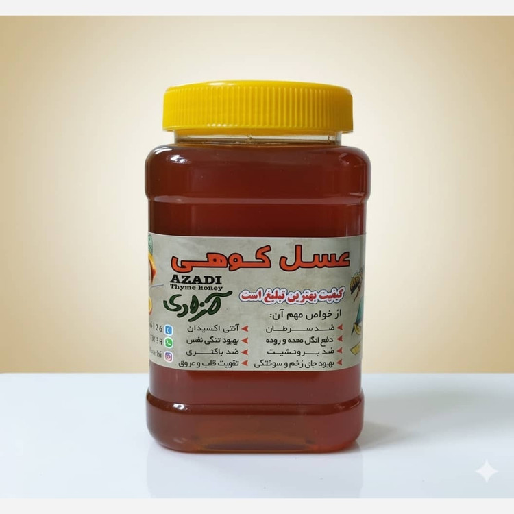 عسل طبیعی کوهی گون گز اعلا مستقیم از زنبوردار (1 کیلویی) برداشت 1405 ((پلمپ شده و بهداشتی))