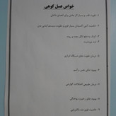 عسل طبیعی کوهی گون گز اعلا مستقیم از زنبوردار (1 کیلویی) برداشت 1405 ((پلمپ شده و بهداشتی))