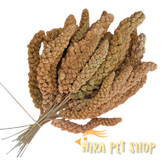 ارزن خوشه ای ایرانی اسپیشیال درشت و تو پر(بسته 100 گرمی و 50 گرمی)