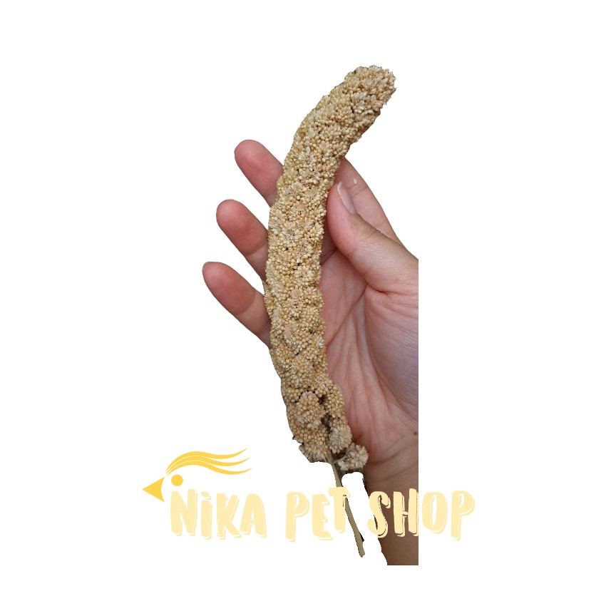 ارزن خوشه ای ایرانی اسپیشیال درشت و تو پر(بسته 100 گرمی و 50 گرمی)