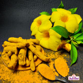 پودر زردچوبه هندی چهارمنار 100 گرمی اعتماد خالص و معطر