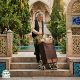 چرخ خرید تاشو پله رو - شش تایر - برند ادریک