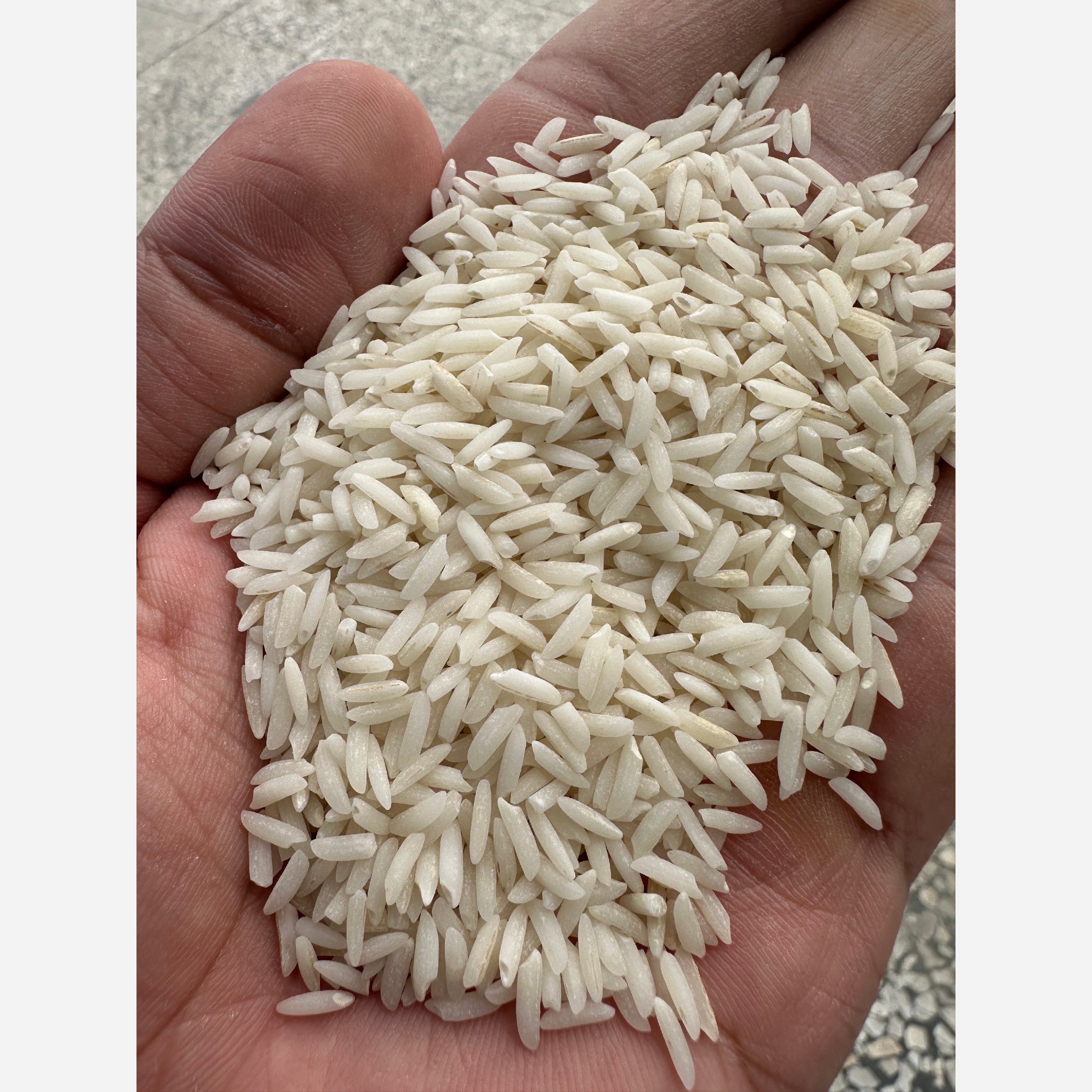 برنج هاشمی گیلان زرین خوشه طبرستان (ناریوران) ارسال رایگان