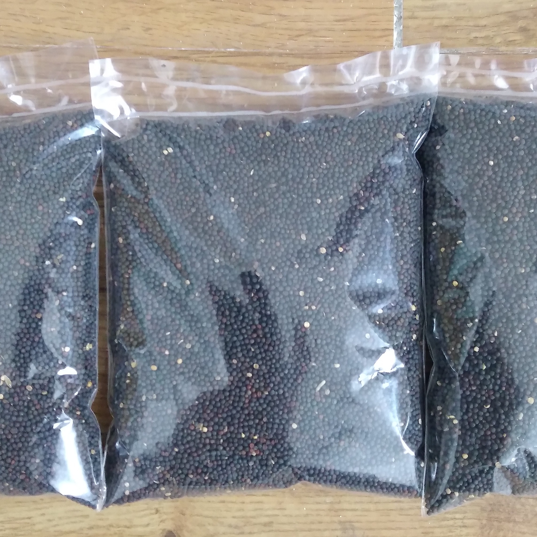 غذای طوطی و پرنده تخم کلزا ( 100 گرمی)