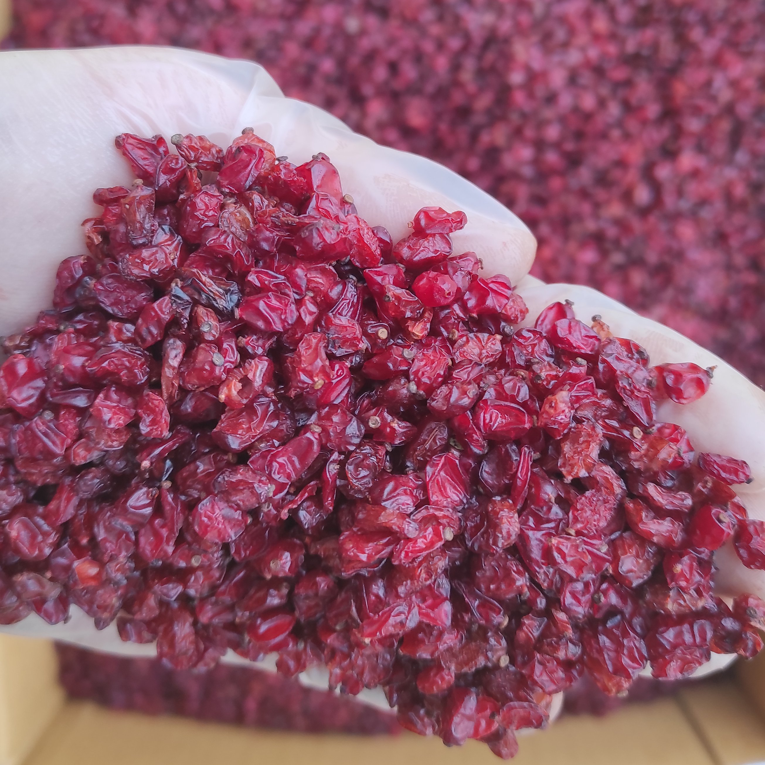 زرشک اناری لوکس بار جدید یک کیلویی اعتماد (تخفیف ویژه)