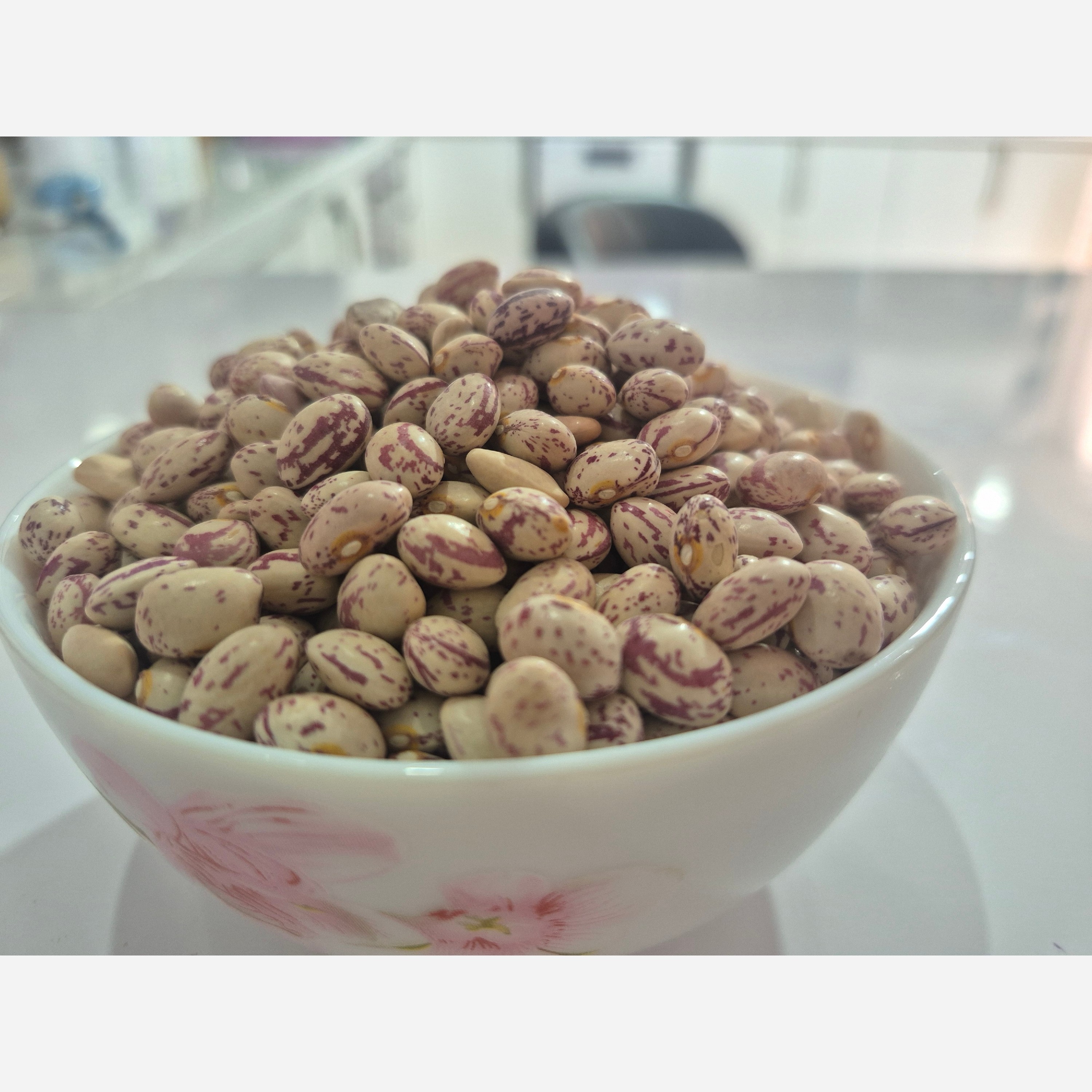 لوبیا چیتی،فله، یک کیلویی،خوشپخت و تازه، تضمین کیفیت و پخت