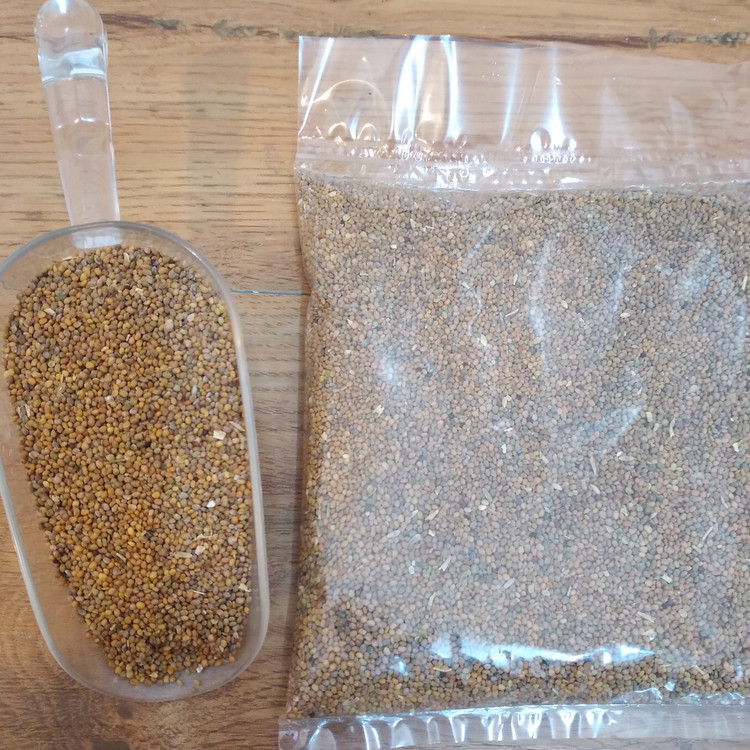 تخم منداب غذای طوطی و پرندگان زینتی ( بسته 150 گرمی)