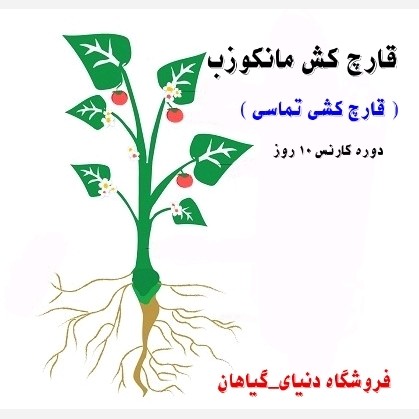 قارچکش مانکوزب 80 درصد (20 گرمی)