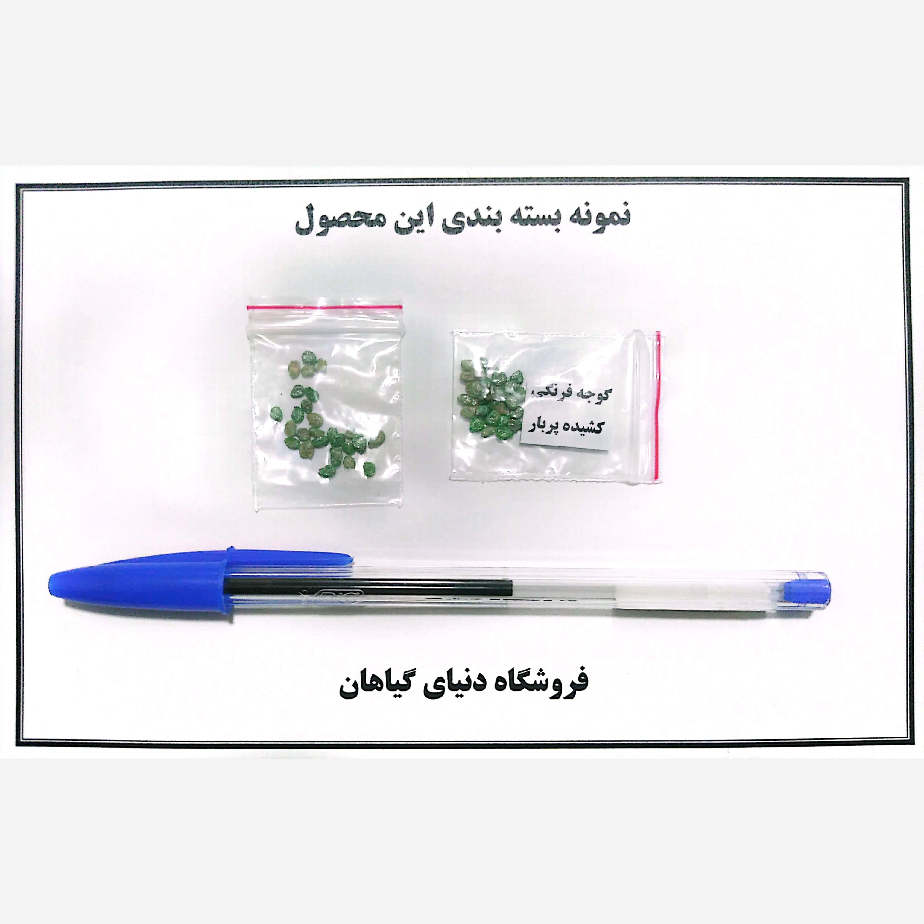 بذر گوجه فرنگی/کشیده پُربار(10 عددی)