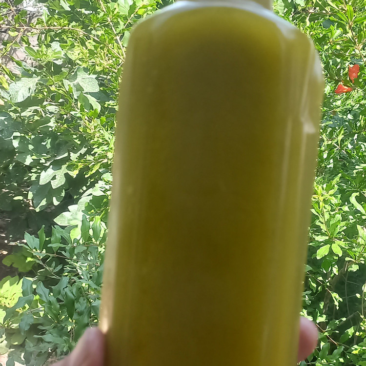 روغن زیتون دستی پارساله محشر گلو سوز صدرصد خالص یک لیتری