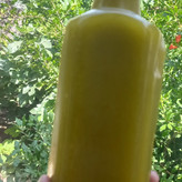 روغن زیتون دستی پارساله محشر گلو سوز صدرصد خالص یک لیتری