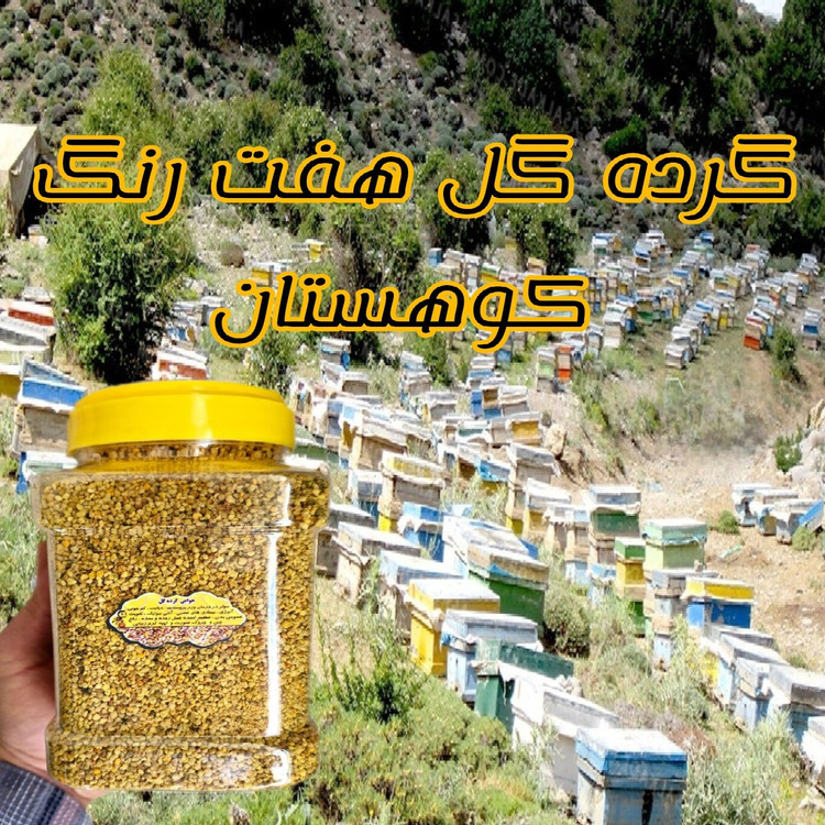 گرده گل کوهستان تنوع رنگی بالای هفت رنگ 1کیلویی (خرید مستقیم از زنبوردار)ارسال رایگان با 2 میلیون خرید از غرفه