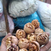 گردو تویسرکان اقتصادی