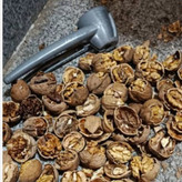 گردو تویسرکان اقتصادی