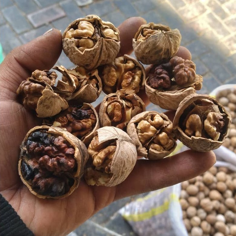 گردو تویسرکان اقتصادی