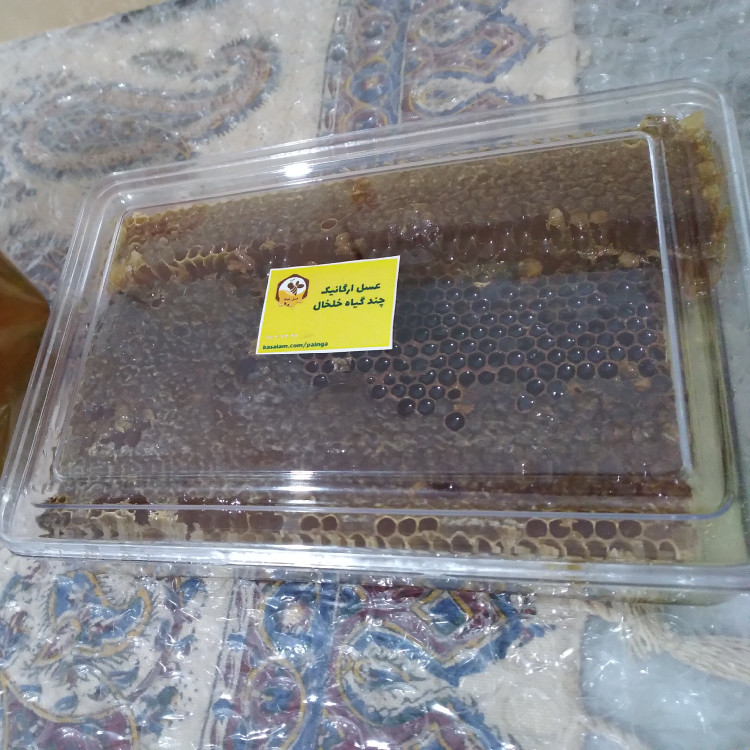 عسل مومدار 100 درصد ارگانیک خام بدون تغذیه کوهی چند گیاه خلخال برداشت جدید تابستان 1405(1 کیلو)