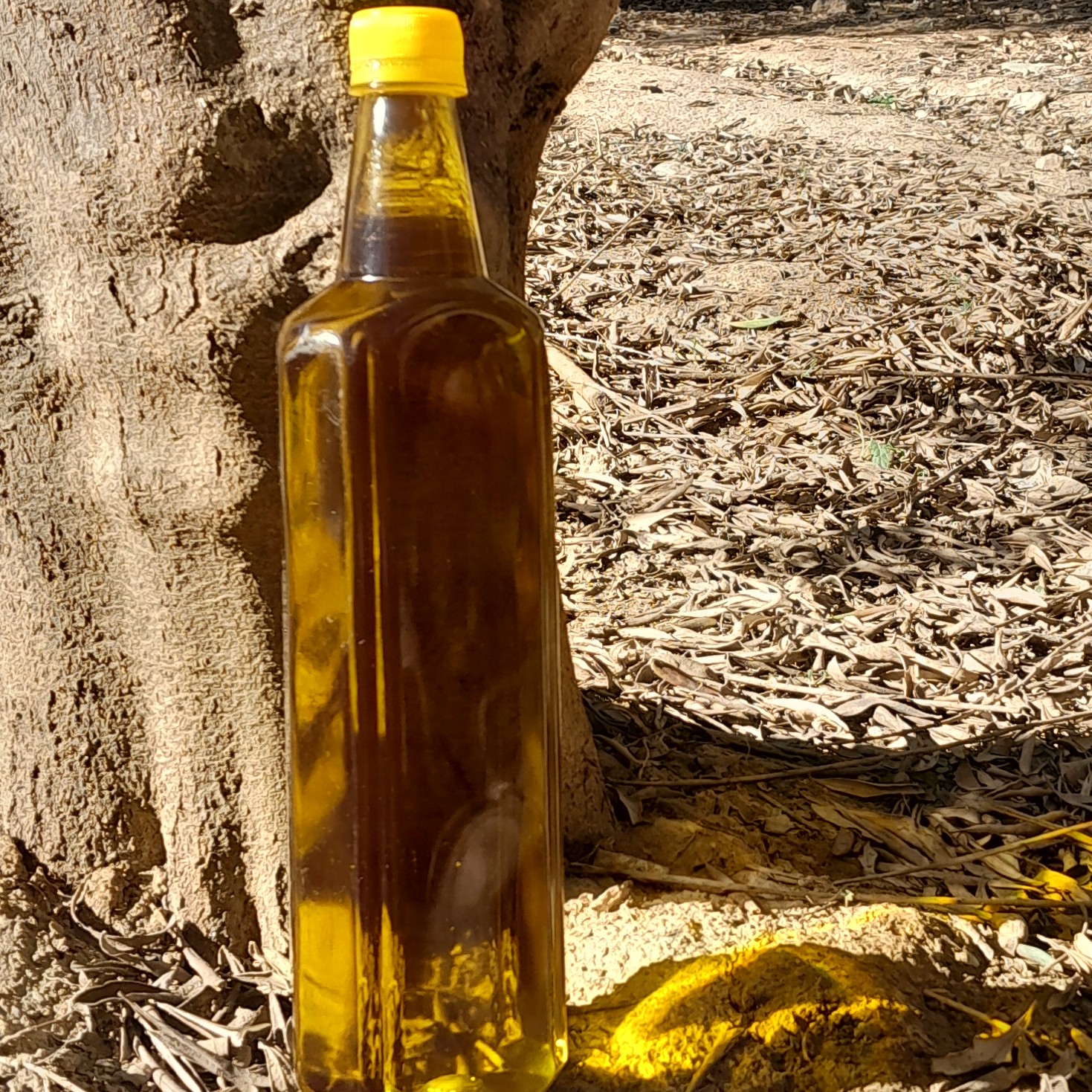 روغن زیتون خالص 3لیتری (فرابکر تصفیه شده بدون بو )با تضمین قیمت و ضمانت کیفیت از باغدار خرید کنید روغن زیتون درجه یک