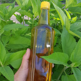 روغن زیتون خالص 5لیتری (فرابکر تصفیه شده بدون بو )با تضمین قیمت و ضمانت کیفیت قیمت عمده از باغدار خریدکنیدروغن زیتون