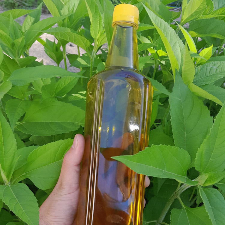 روغن زیتون خالص 5لیتری (فرابکر تصفیه شده بدون بو )با تضمین قیمت و ضمانت کیفیت قیمت عمده از باغدار خریدکنیدروغن زیتون