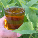 روغن زیتون خالص 5لیتری (فرابکر تصفیه شده بدون بو )با تضمین قیمت و ضمانت کیفیت قیمت عمده از باغدار خریدکنیدروغن زیتون