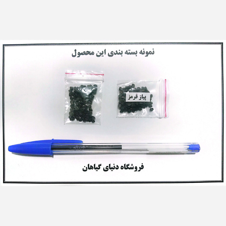 بذر پیاز قرمز (50 عددی)