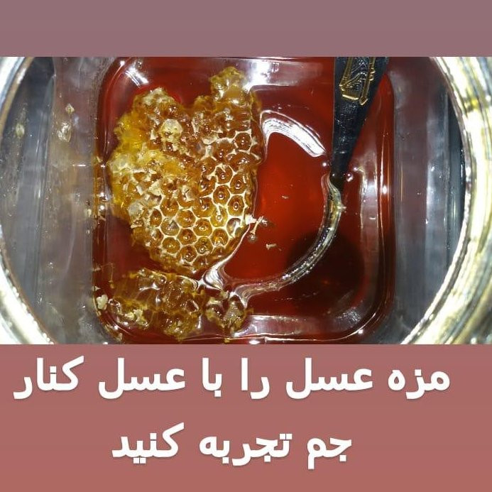 عسل کنار خالص بوشهر (گرید A++) یک کیلویی
