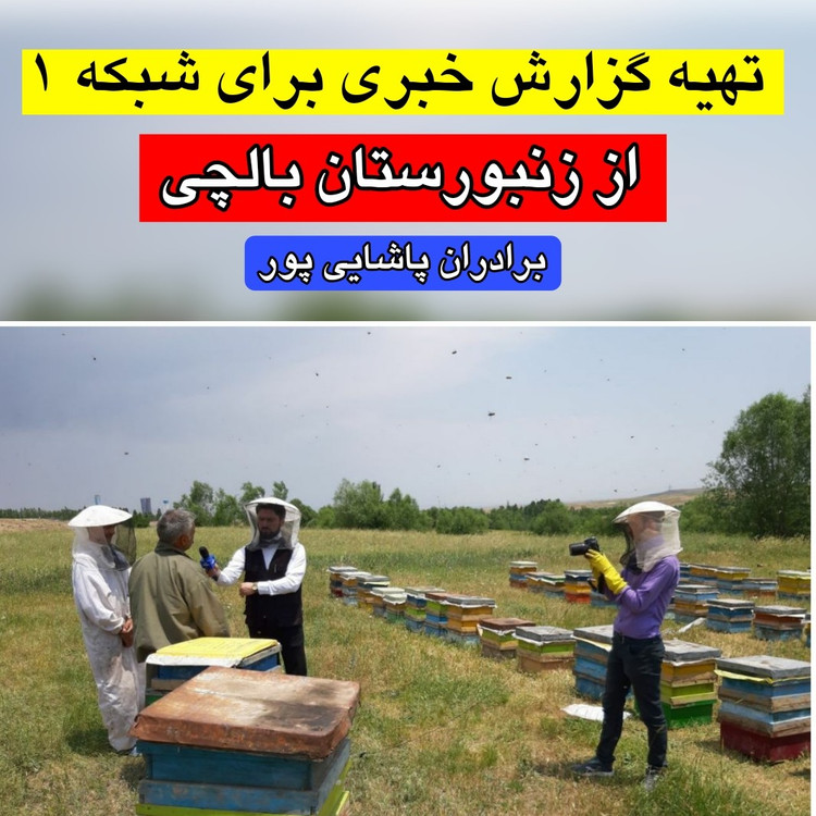 عسل بهارنارنج بالچی (1 کیلوگرم) (خرید از زنبوردار نمونه و ارسال رایگان)