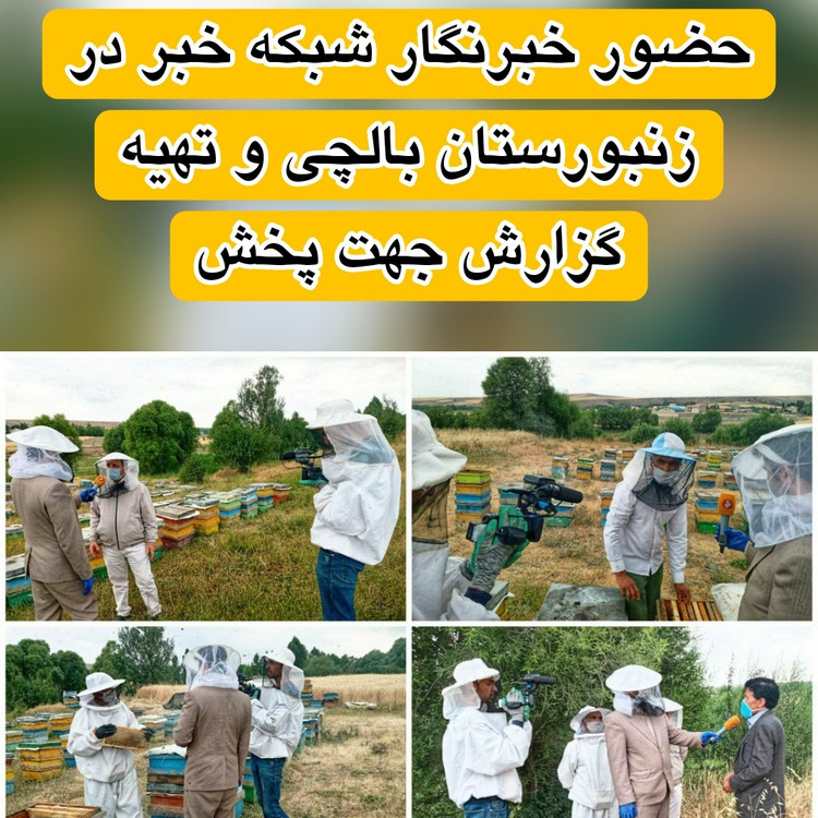 عسل بهارنارنج بالچی (1 کیلوگرم) (خرید از زنبوردار نمونه و ارسال رایگان)