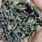 چای سبز لاهیجان اصل قلم بدون ساقه طبیعی محصول بهاره امساله (1000گرمی) فقط برگ