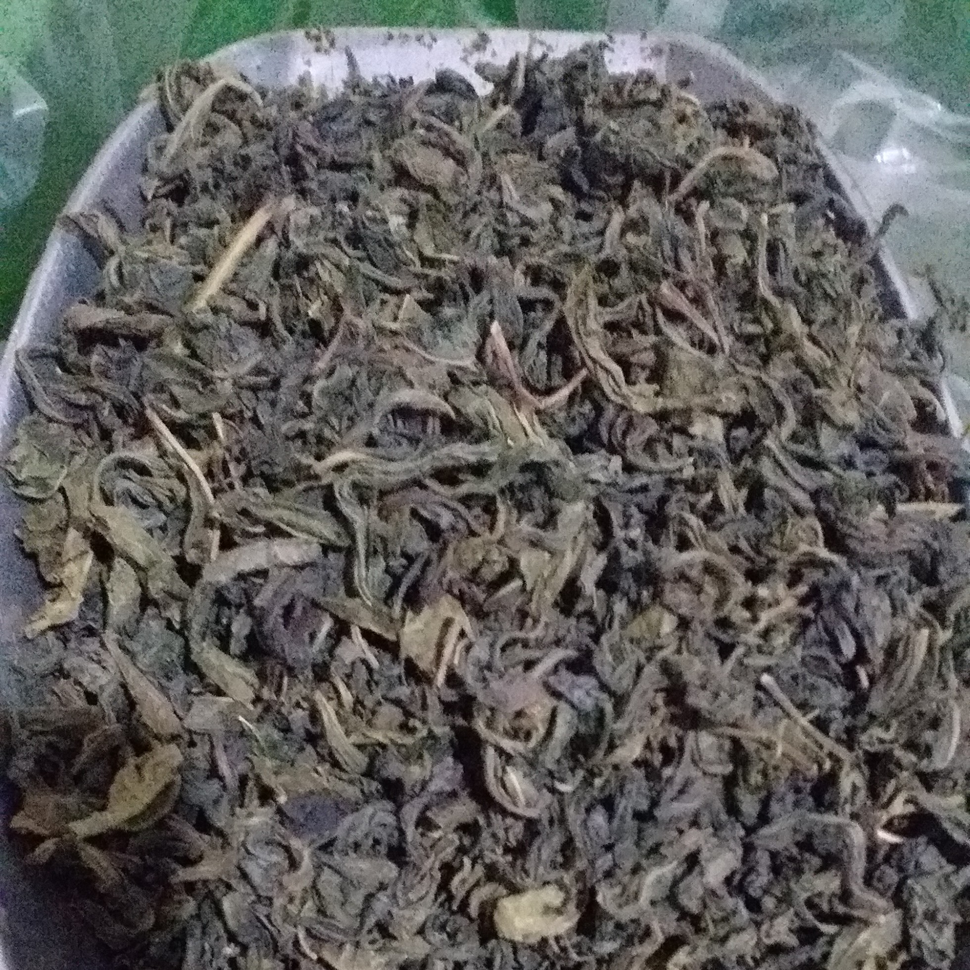 چای سبز لاهیجان اصل قلم بدون ساقه طبیعی محصول بهاره امساله (1000گرمی) فقط برگ