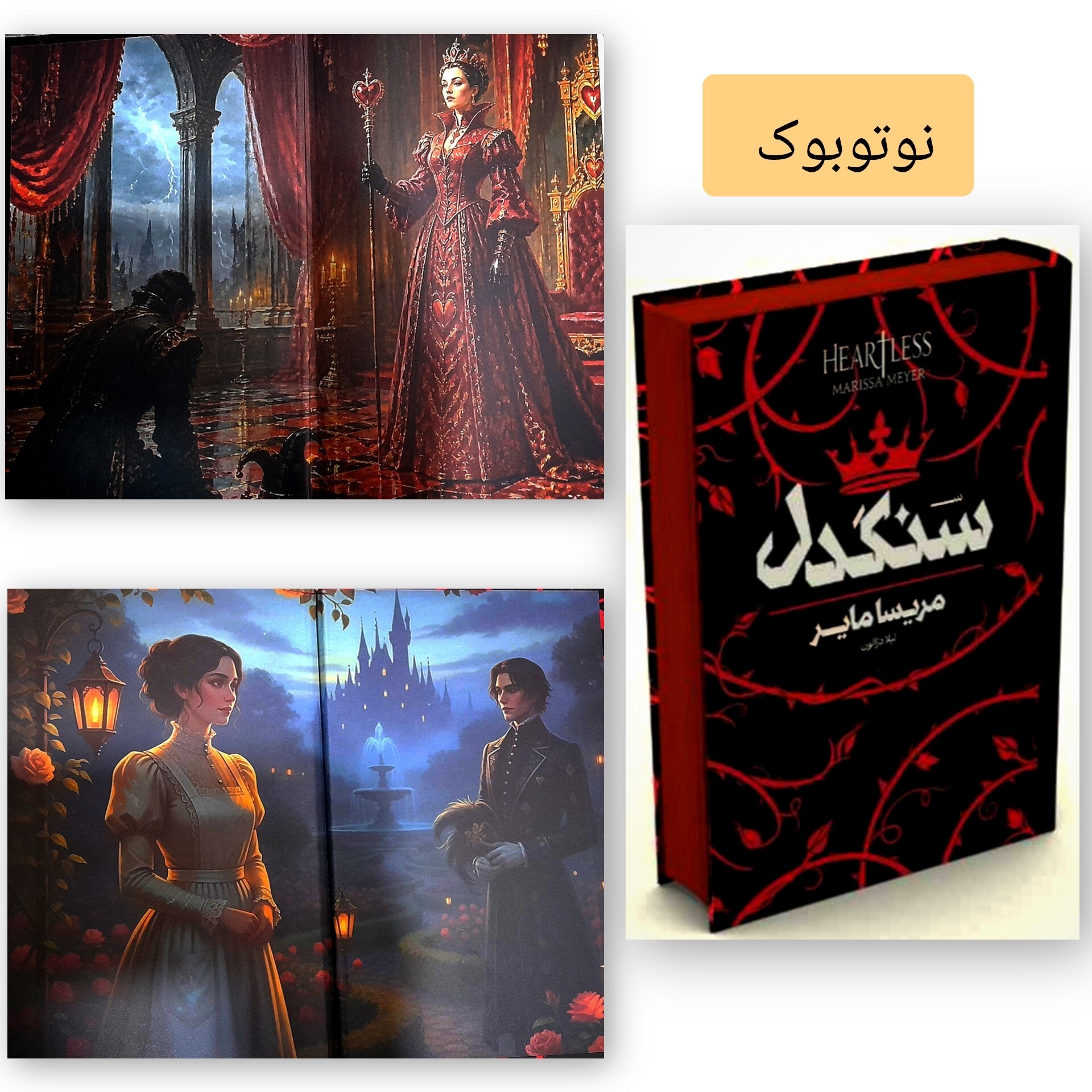 کتاب رمان سنگدل جلد سخت نسخه اصلی لبه رنگی دارای فن آرت اثر مریسامایر تخفیف ویژه مدت محدود