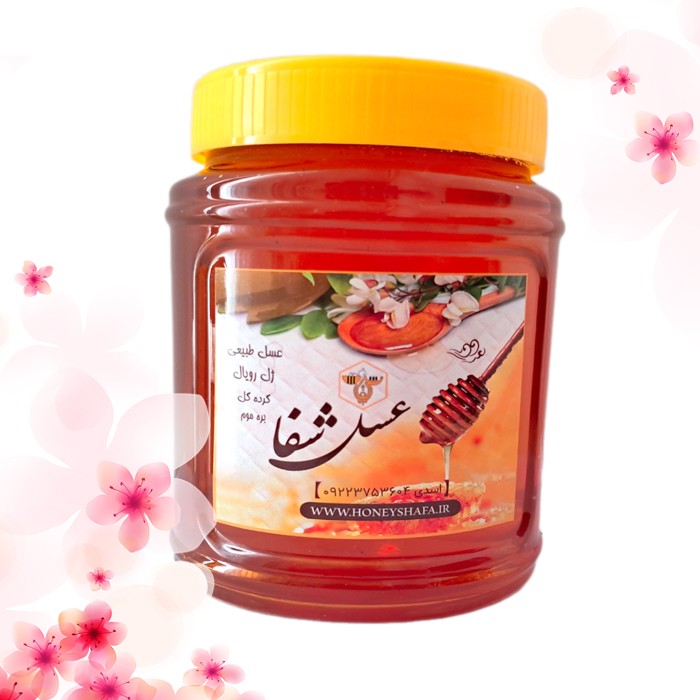 عسل ویژه دیابتی و درمانی چند گیاه کوهی 100درصد طبیعی