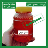 عسل کوهی برداشت کوه های دالامپر کیفیت ممتاز